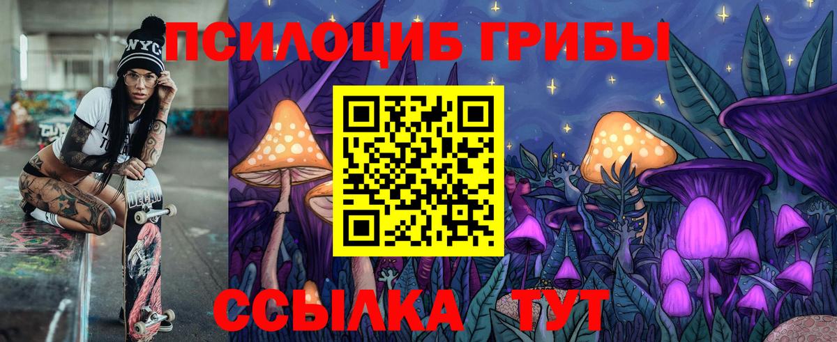 Россошь  Галлюциногенные грибы Psilocybine cubensis  Псилоцибиновые грибы GOLDEN TEACHER  Вход с VPN 