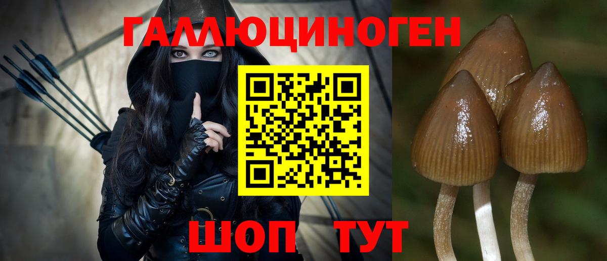 Псилоцибиновые грибы Psilocybe Россошь